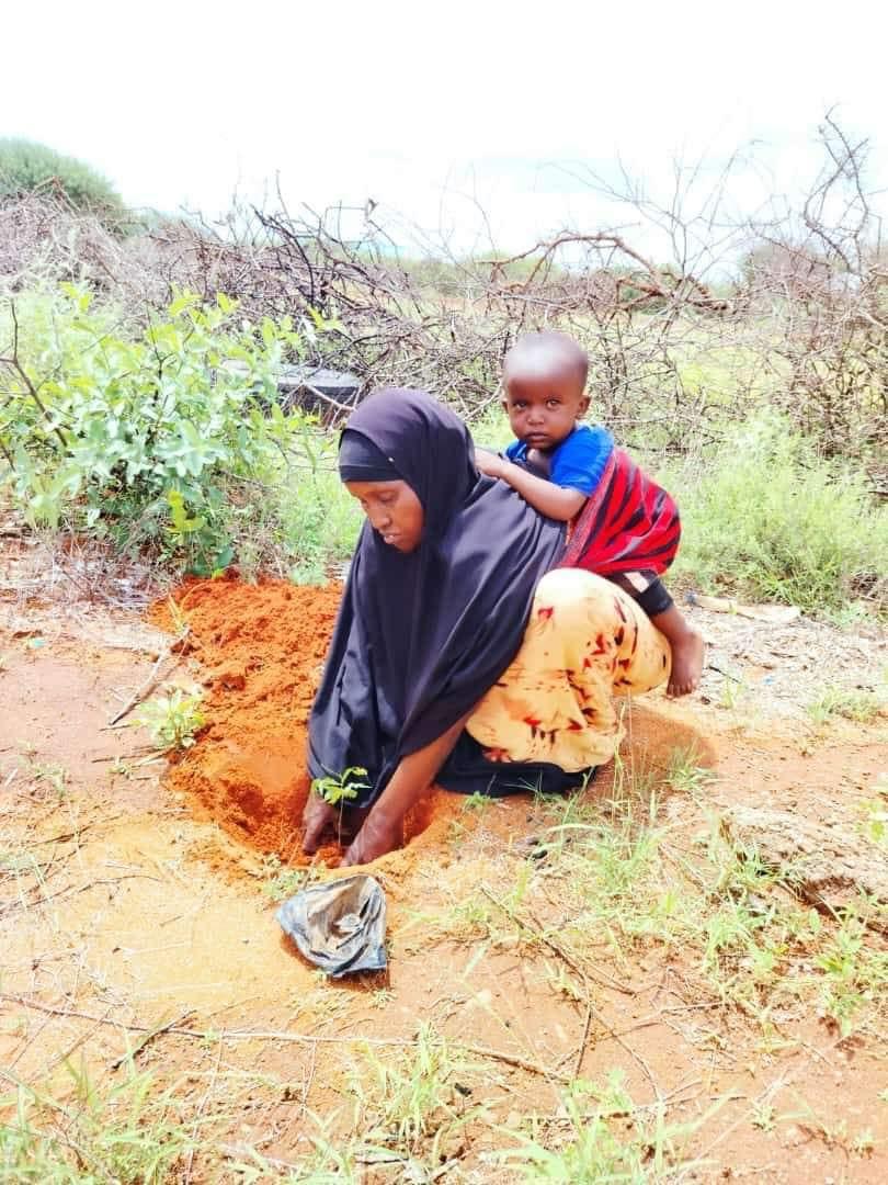 Amina, Mandera mother planting tree with son strapped on her back earns praise online