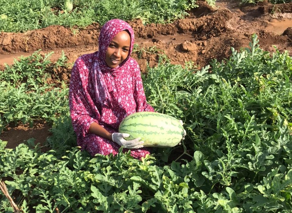 Garissa's Ebla Hassan nominated as finalist for African Agribusiness Woman Of The Year