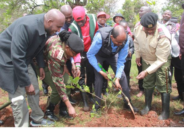 Kamukunji residents plant 4,000 seedlings as they join the rest of Kenyans in tree planting initiative