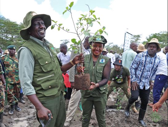 Ruto heads off to Dubai to champion Africa's climate agenda at COP28