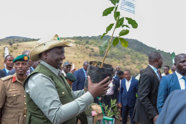 President Ruto to lead tree-planting exercise on Monday