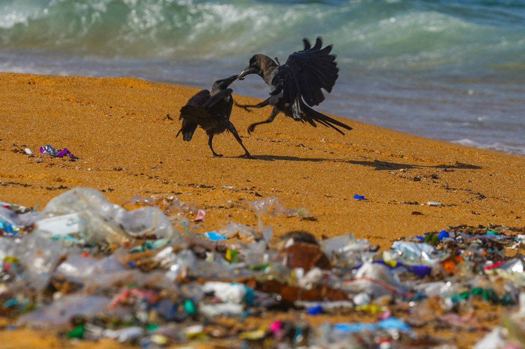 Battle looms over renewed plastic global treaty negotiations in Nairobi