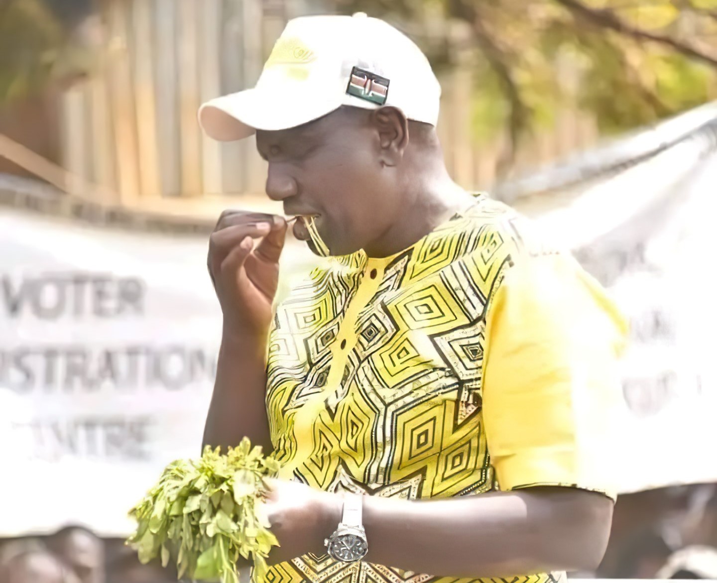 Kenyan Government issues ultimatum to miraa transporters