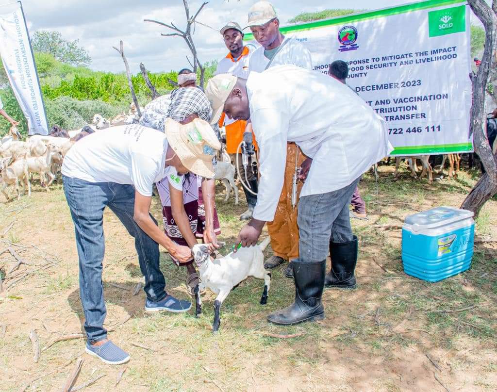 SOLO collaborates with FAO in livestock welfare initiative in Tana River County