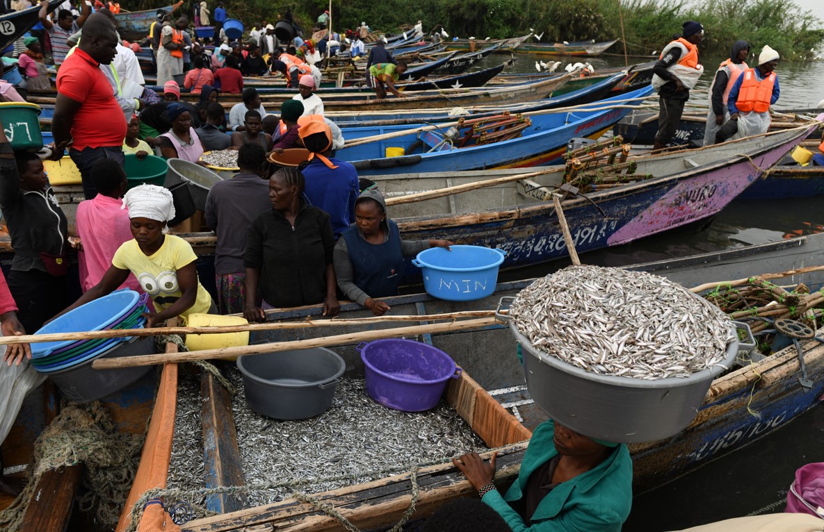 State efforts pay off as Kenya records surge in fish production