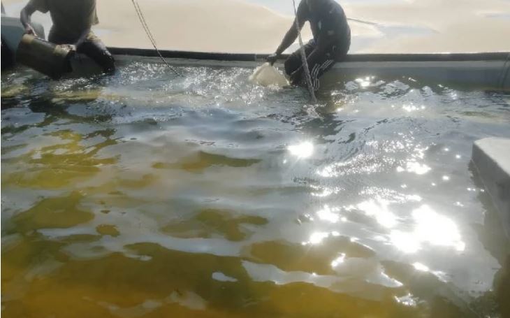 Fishermen rescue seven KDF officers after boat capsizes in Lamu
