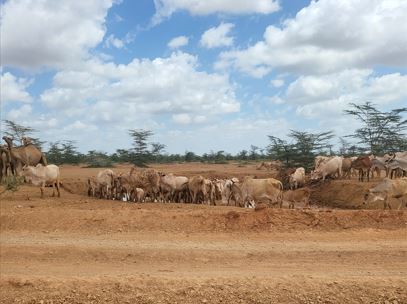 Northeastern counties to remain dry as Coast region set to receive occassional rains in January