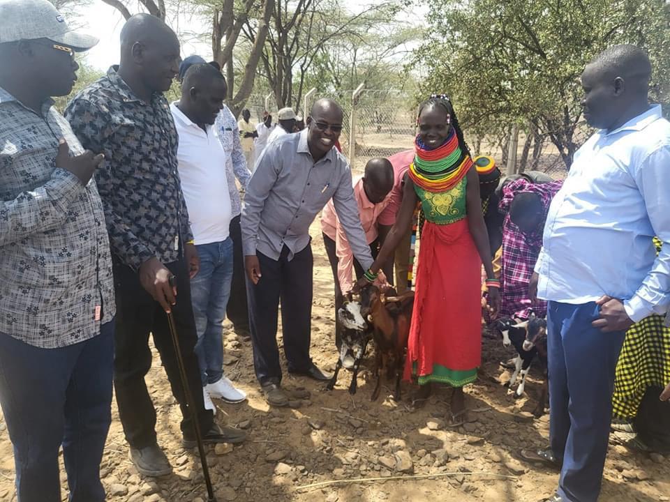 Turkana, Samburu counties help families to restock after livestock theft