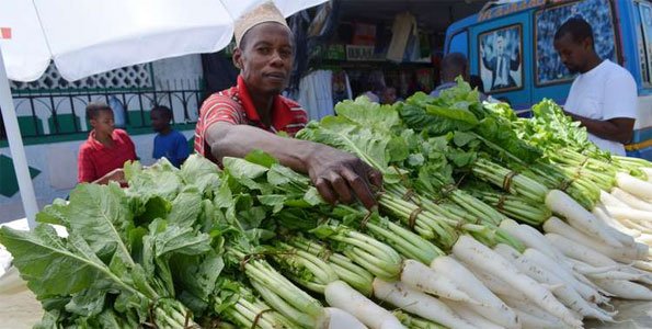 Farmers, residents to benefit from vegetable consumption campaign in Mombasa