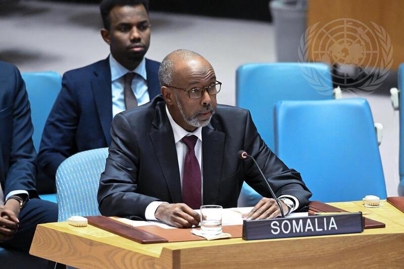 Somalia criticises Ethiopia's press release on alleged annexation