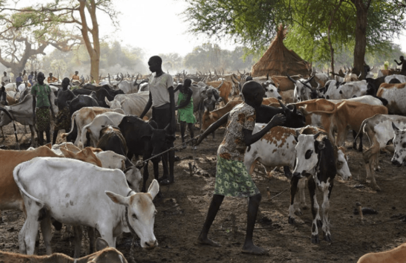 Clashes between cattle herders in South Sudan kill 39