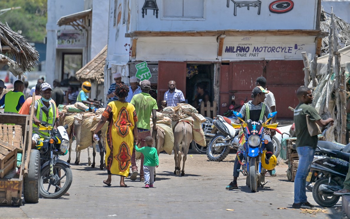 Lamu youths turn to lucrative donkey transport business to bridge job gap