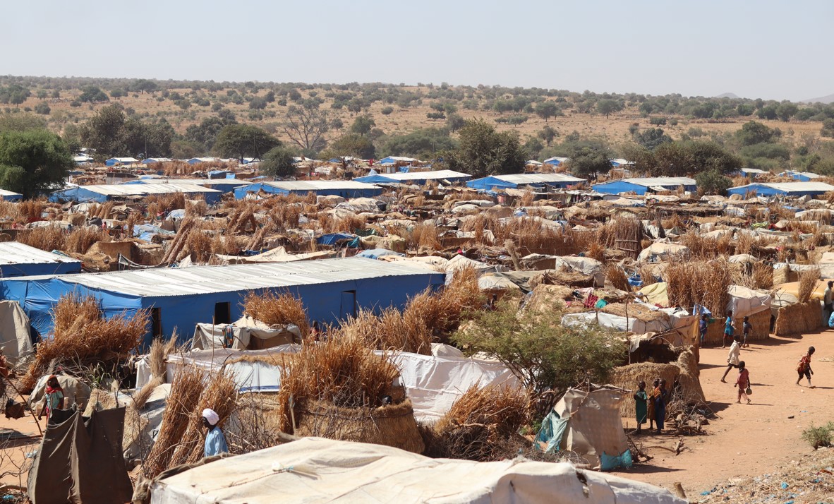 World Refugee Day highlights growing crisis of displacement due to violence and climate change