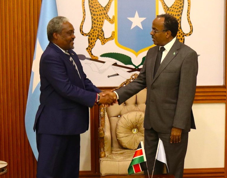 Kenya's new envoy to Somalia presents copies of credentials at Foreign ministry
