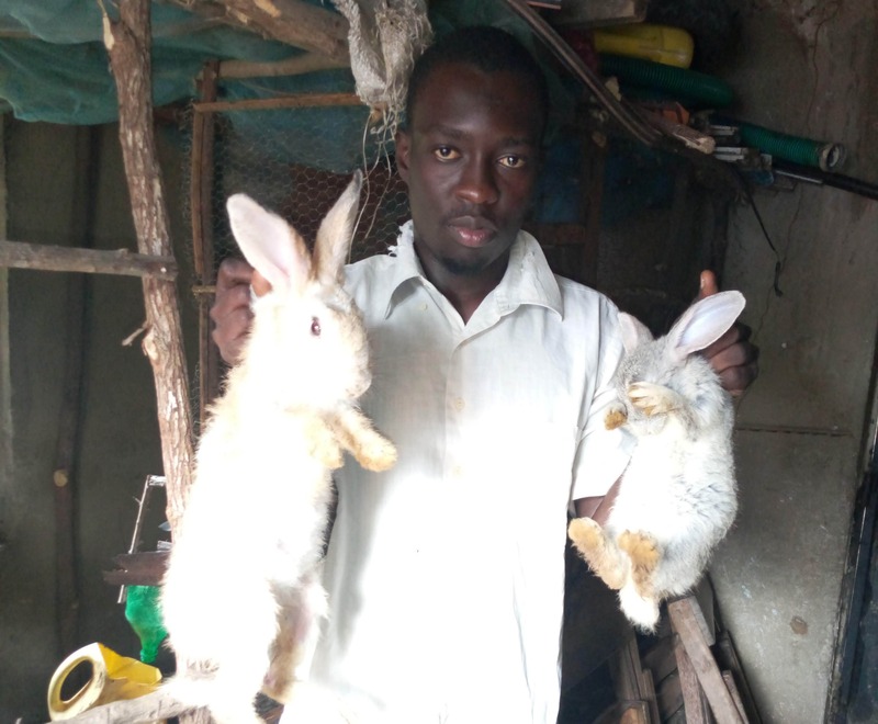 How 19-year-old man turned rabbit rearing into profitable venture in Kwale