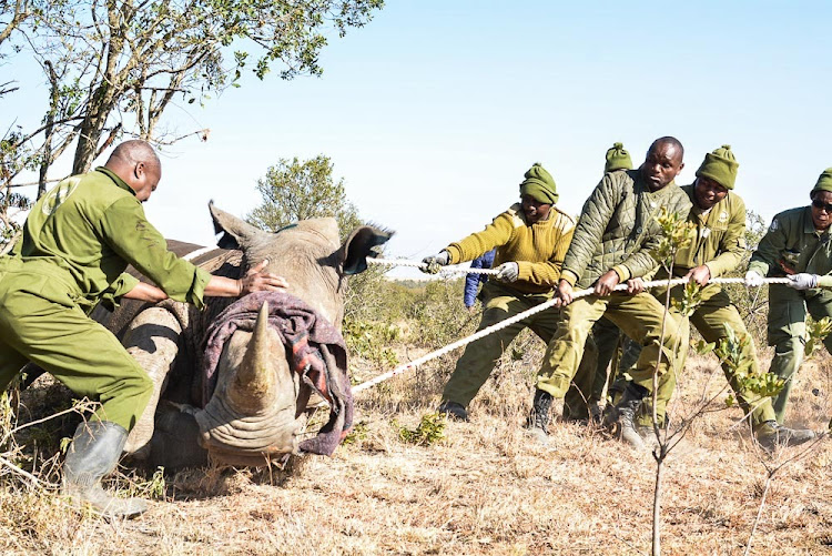 MPs raise alarm on pending bills resulting from human-wildlife conflict