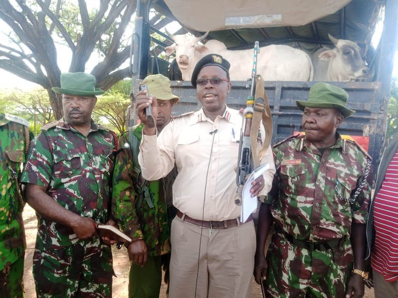 15 cows recovered, loaded firearm confiscated in Samburu East operation