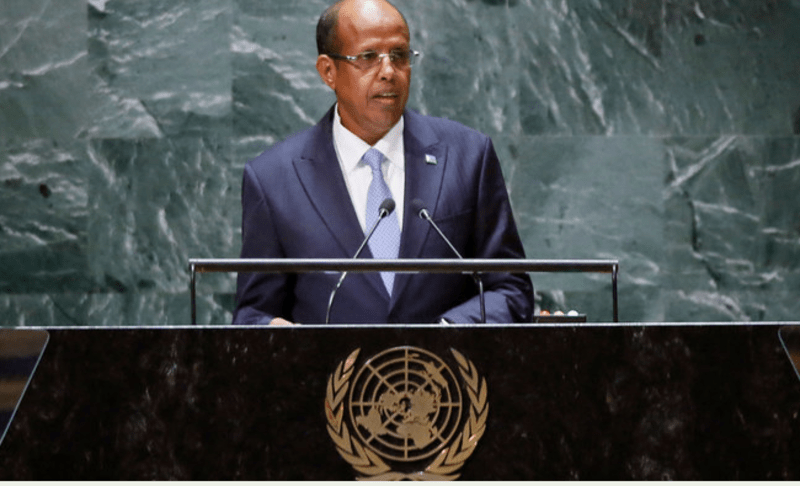 Somalia, Ethiopia tensions not good for the region - Djibouti Foreign Minister