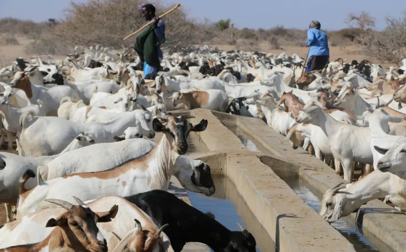 Strong governance measures key to sustainable water projects in Isiolo - report