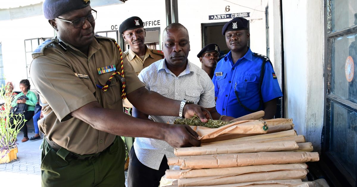 Police seize bhang worth Sh1.75m in Mombasa disguised as dried fish