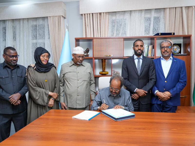 Featured image for Somalia President signs amended constitution chapters into law