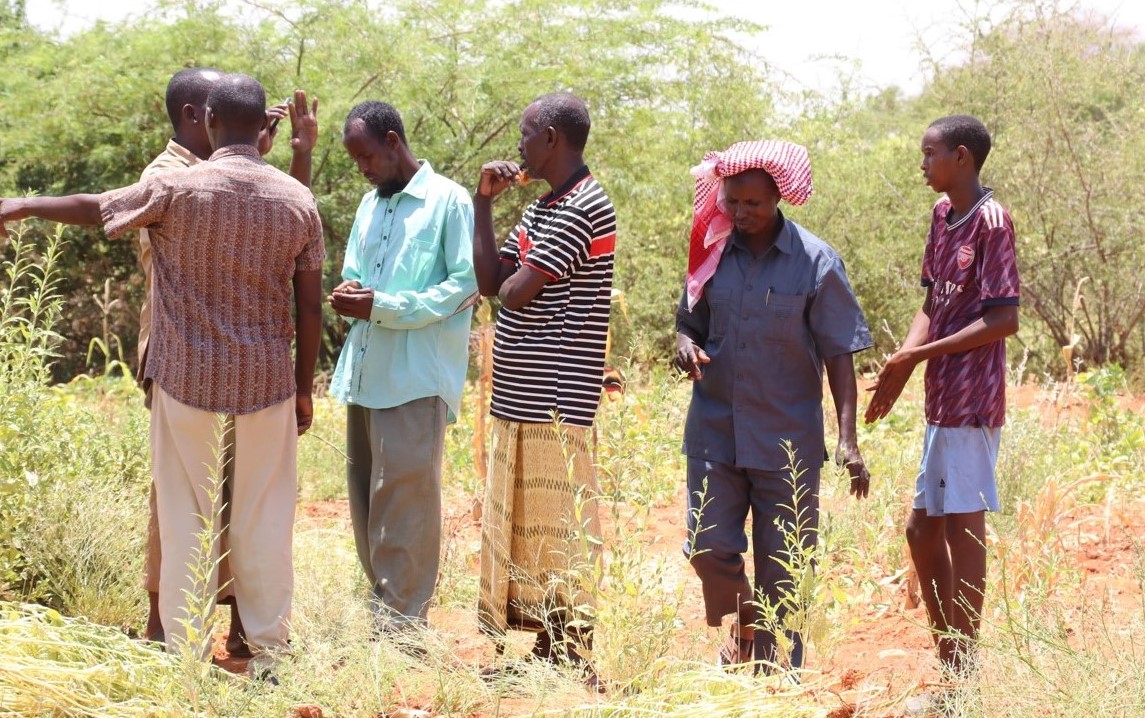 Featured image for Fear in Mandera East over community land conversion plan