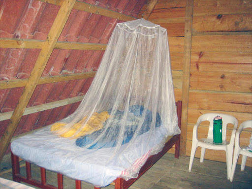 Malaria deaths in Kenya drop by 93 per cent over eight years, WHO says - A photo of a bed covered with a malaria net. (Photo/X)