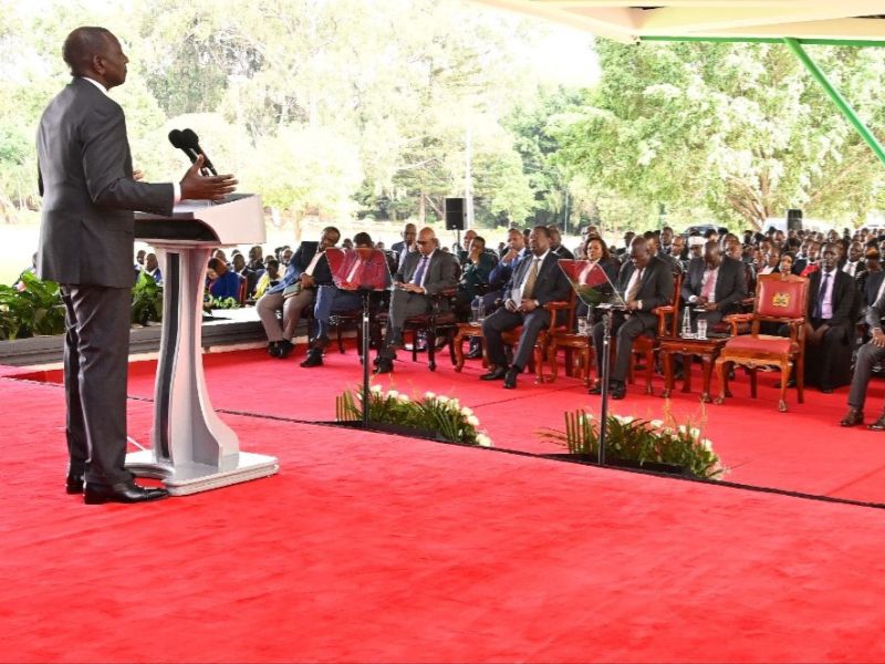 Ruto orders 30pc budget cut for all parastatals, says loss-makers to shut down