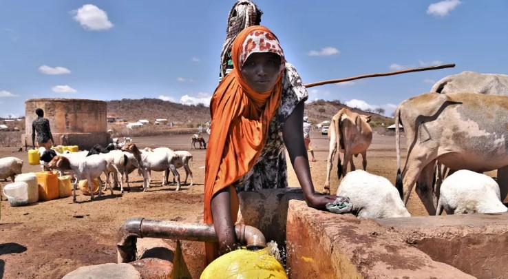 Pastoralist women appeal for permanent solution to water crisis - A woman fills a jerrican at a watering point in Kula Mawe, Isiolo County in November 2021. (Photo: Obi Anyadike/TNH)