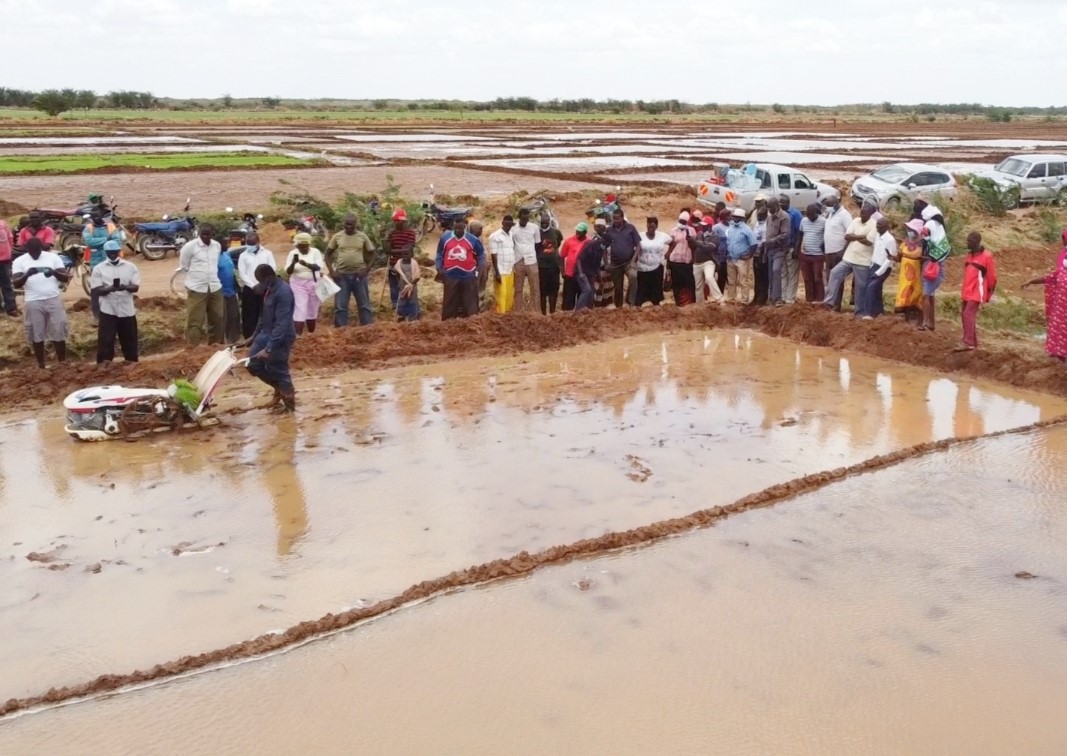 Bura Irrigation Scheme farmers urge State to waive their debts