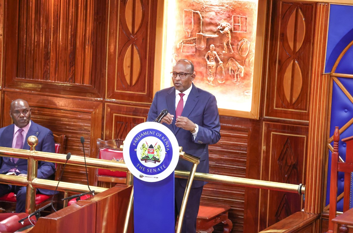 CS Duale reaffirms stance against miraa and muguka, wants them banned - Defence Cabinet Secretary Aden Duale appears before the Senate on April 17, 2024. (Photo: X/Aden Duale)