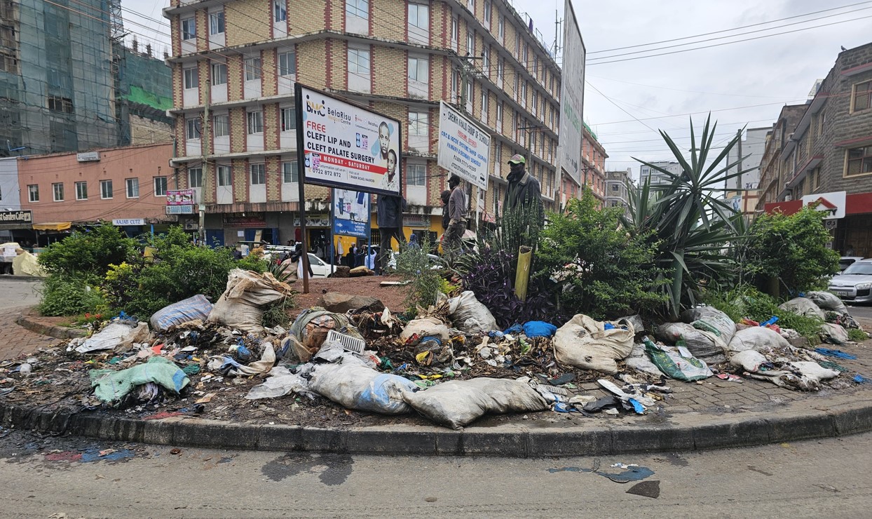Concerns as Eastleigh's roundabout turned into dumping site