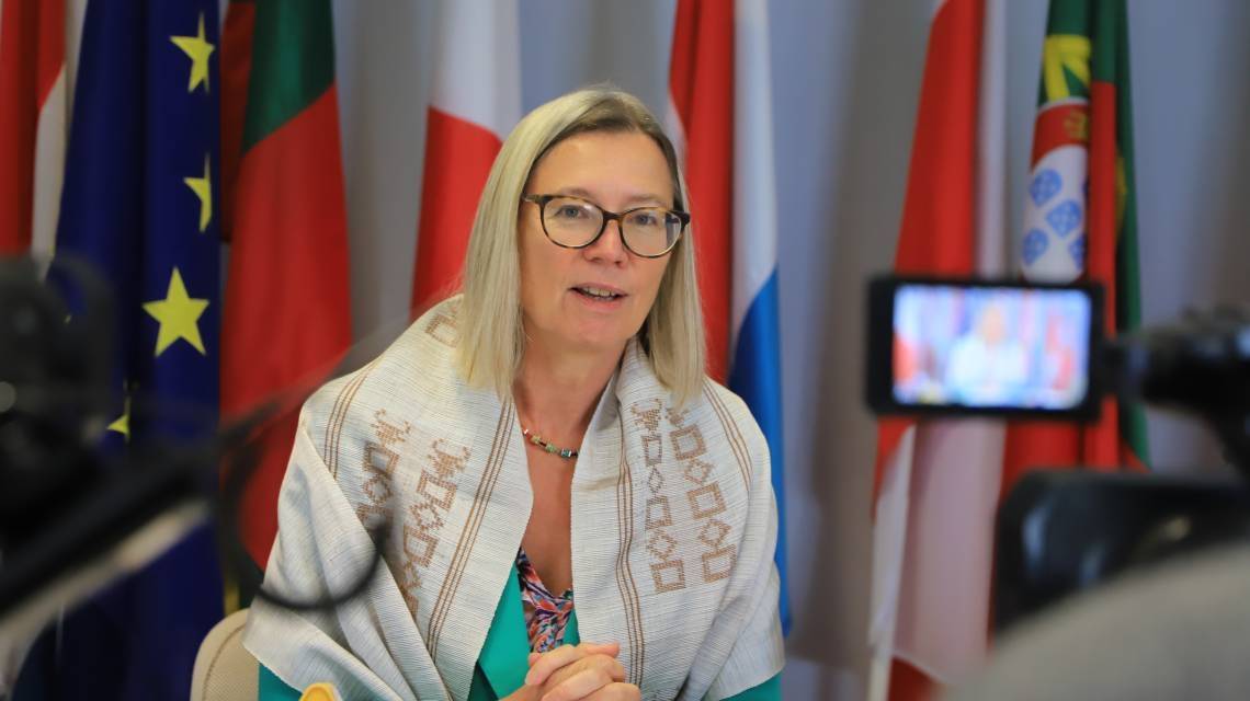 EU Ambassador to Madagascar expelled for criticising castration law