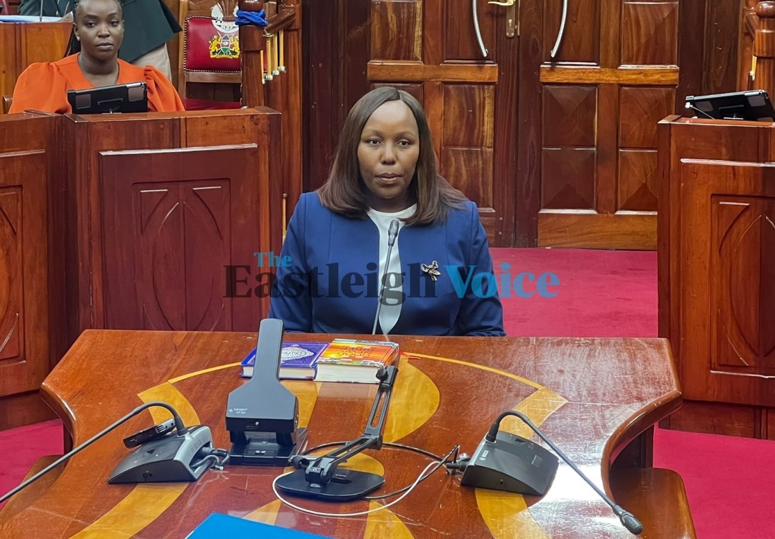 Ruto’s Rabat envoy nominee Jessica Gakinya impresses vetting committee