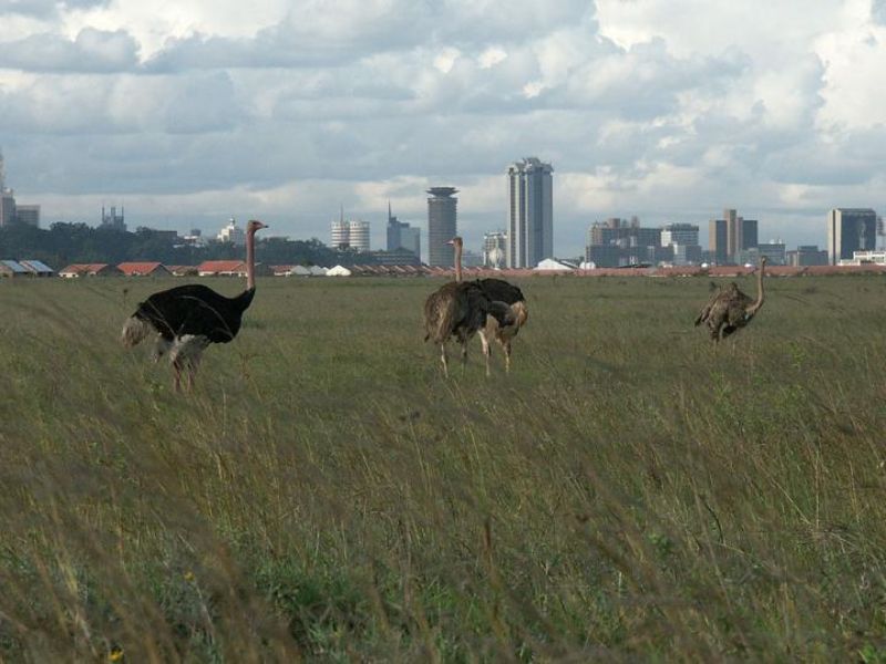 KWS offers tourism camps for lease to boost revenue