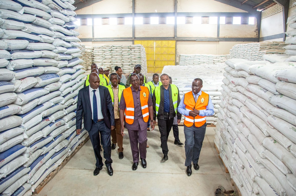 Featured image for Ruto calls for arrest of culprits distributing fake fertilisers