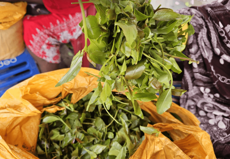 Government cracks down on plastic bag use by Miraa, Muguka traders in Marsabit