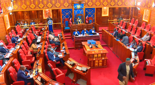 Senate seeks public views on Elections Offences (Amendment) Bill, 5 others - A file picture of proceedings at the Senate. (Photo: X/Senate of Kenya)