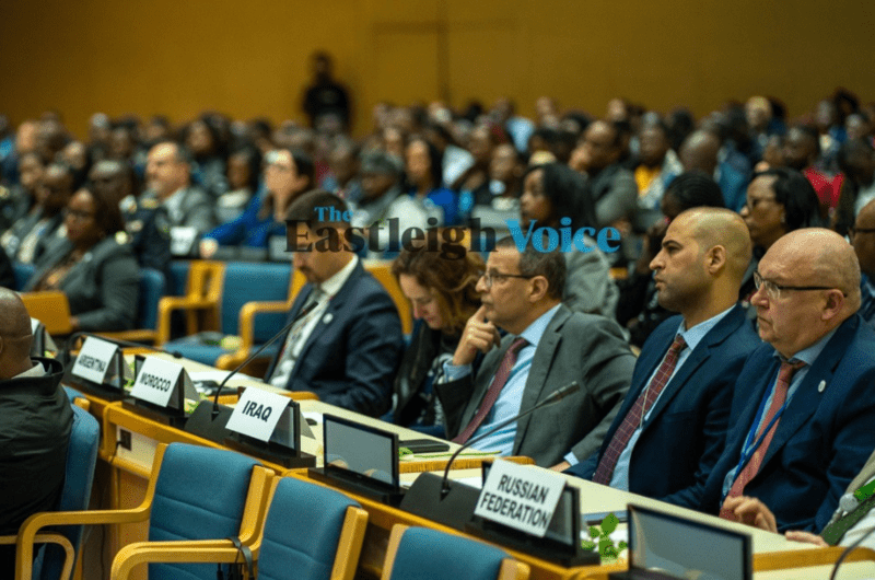 UN commemorates 30th anniversary of Rwanda genocide in Nairobi event
