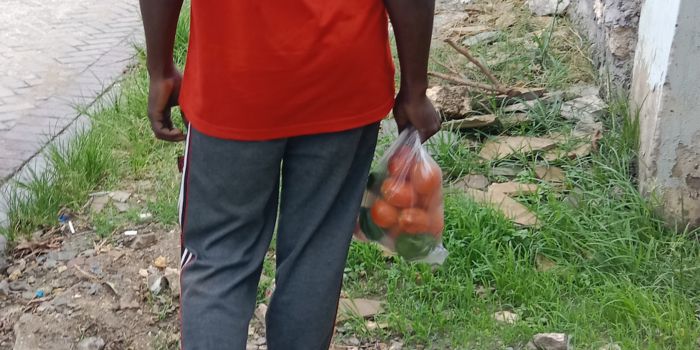 NEMA kicks off raids as plastic bags return to Kwale despite ban - A man in Kwale County carries vegetables in a plastic bag. (Photo: File)