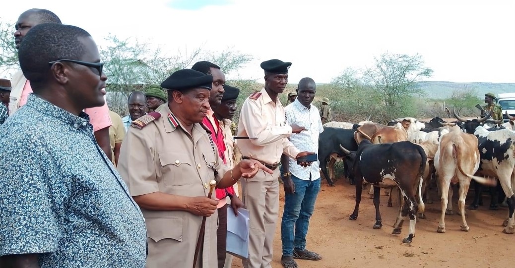 Peace committee in Turkana recovers livestock stolen from Uganda