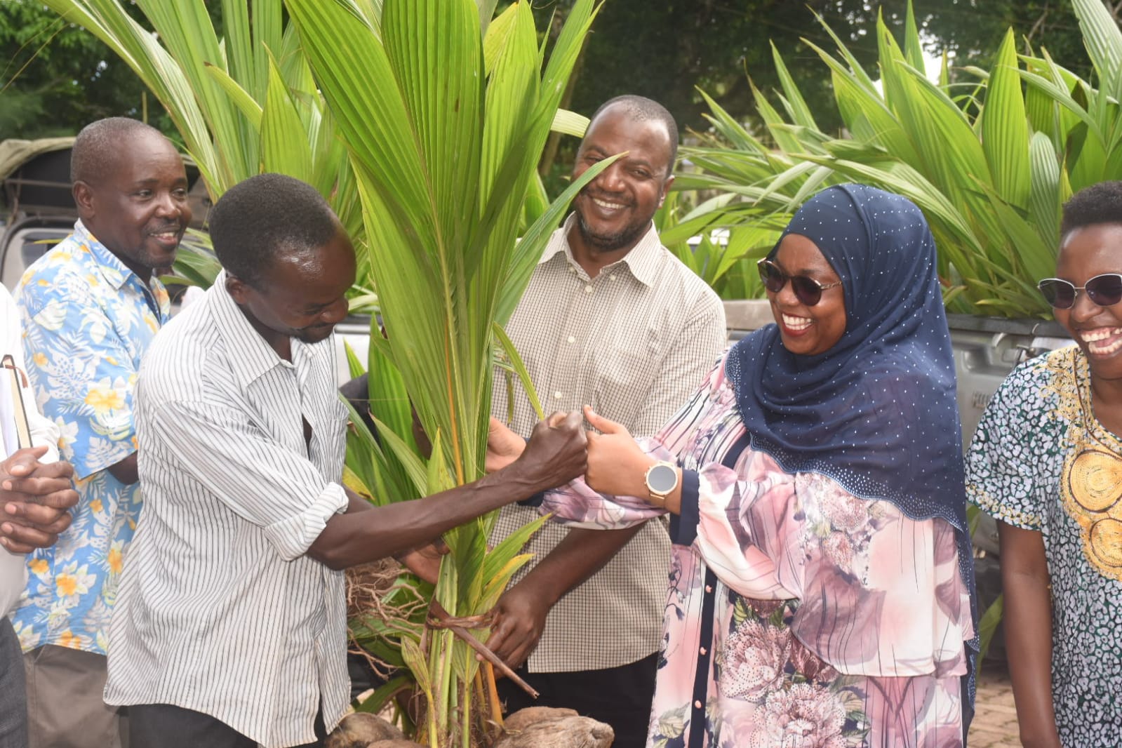 Kwale County launches initiative to save coconut trees from extinction