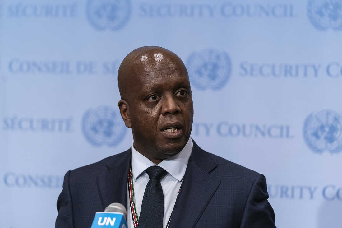 Kenya faults UN Security Council over veto power