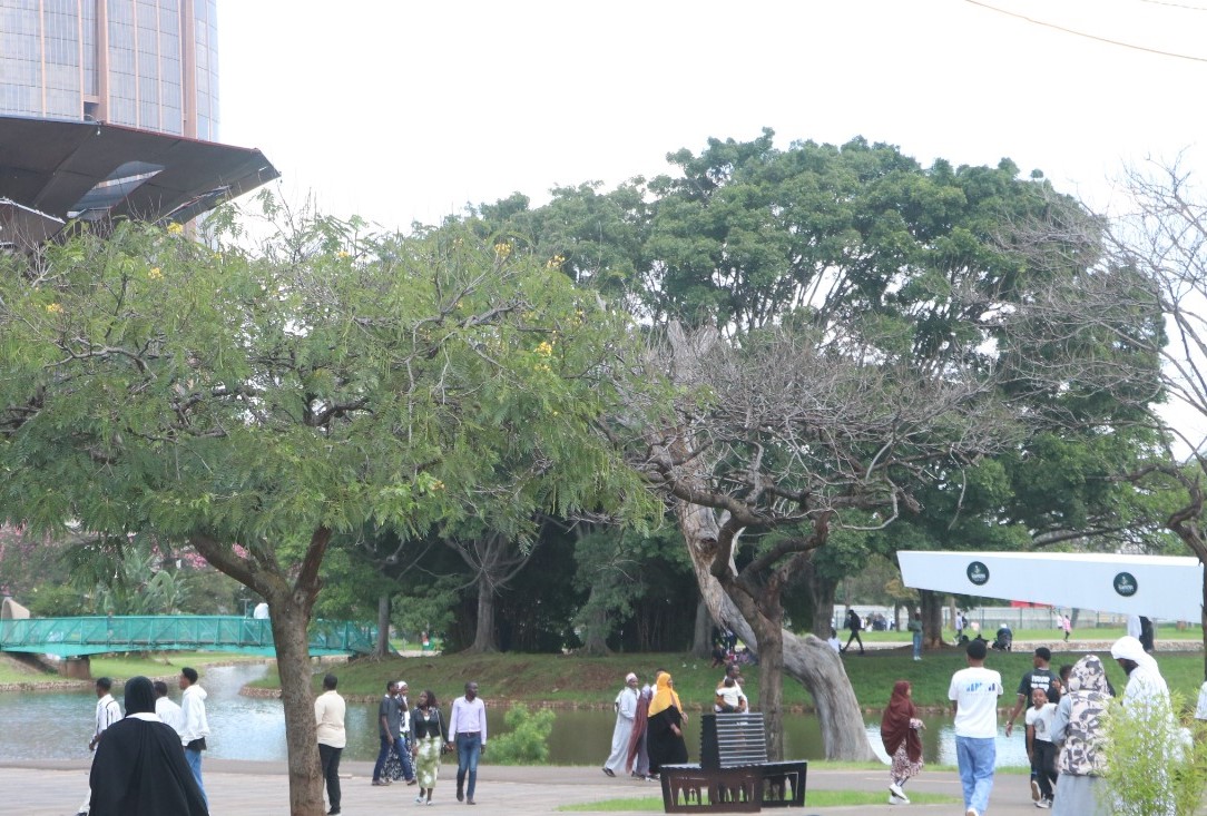 Sakaja permits Gen-Z to hold memorial concert at Uhuru Park