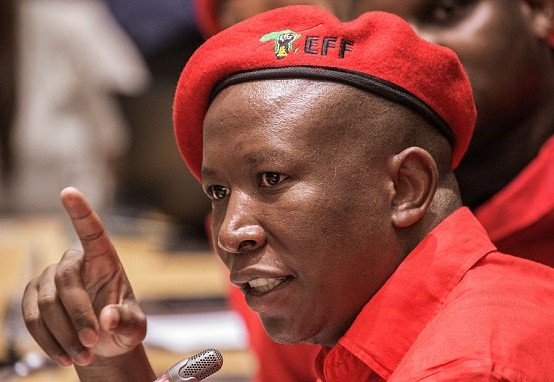South Africa's 'divisive' Malema could be post-election kingmaker
