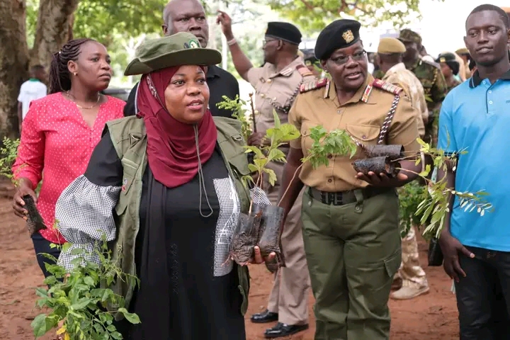 Kwale Governor Fatuma Achani,centre coast regional commissioner Rhoda Onyancha,in red Kwale women representative Fatuma Masito at Kichaka Simba primary school on a tree planting exerci