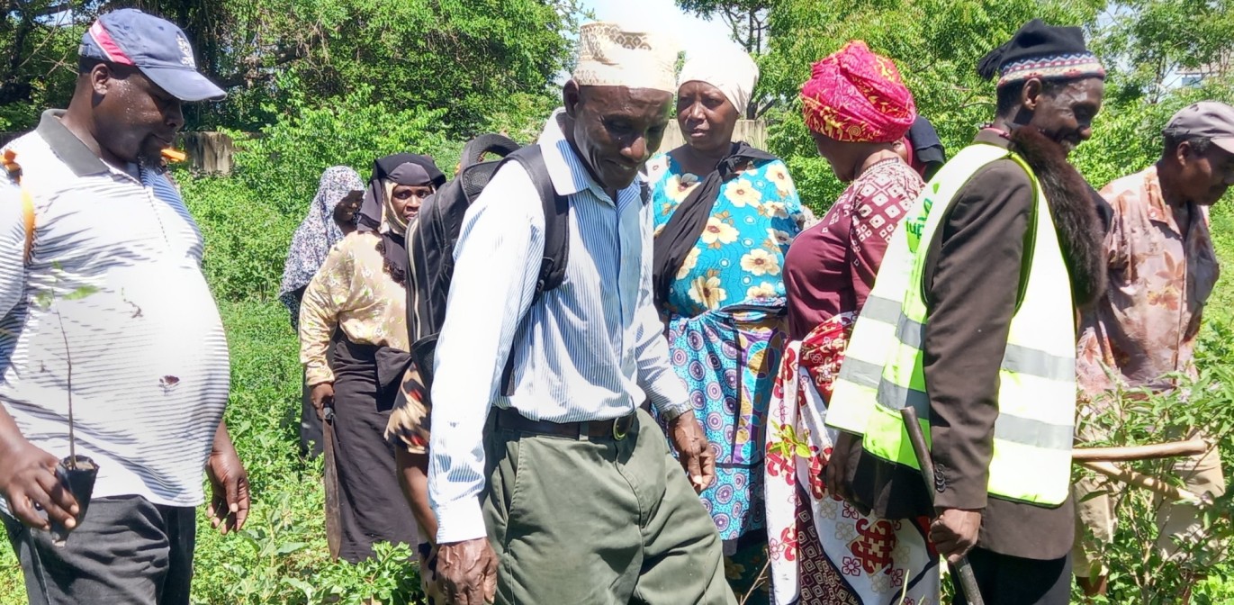 Elders embark on a mission to restore Kaya Forest