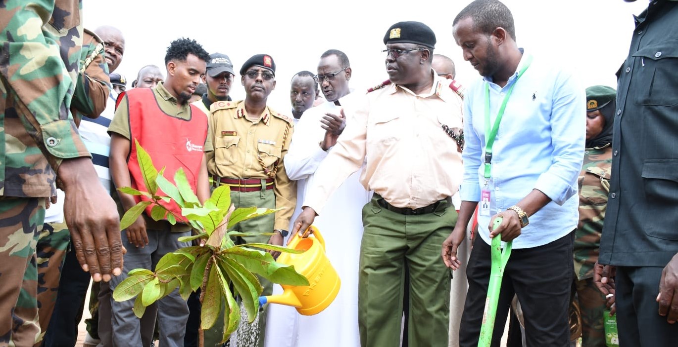 North Eastern residents urged to plant trees to mitigate floods and drought