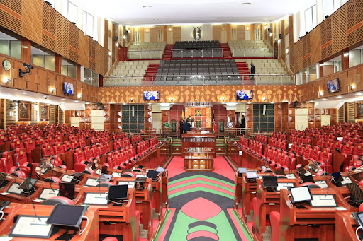 High court faults Parliament for excluding nominated senators from oversight fund
