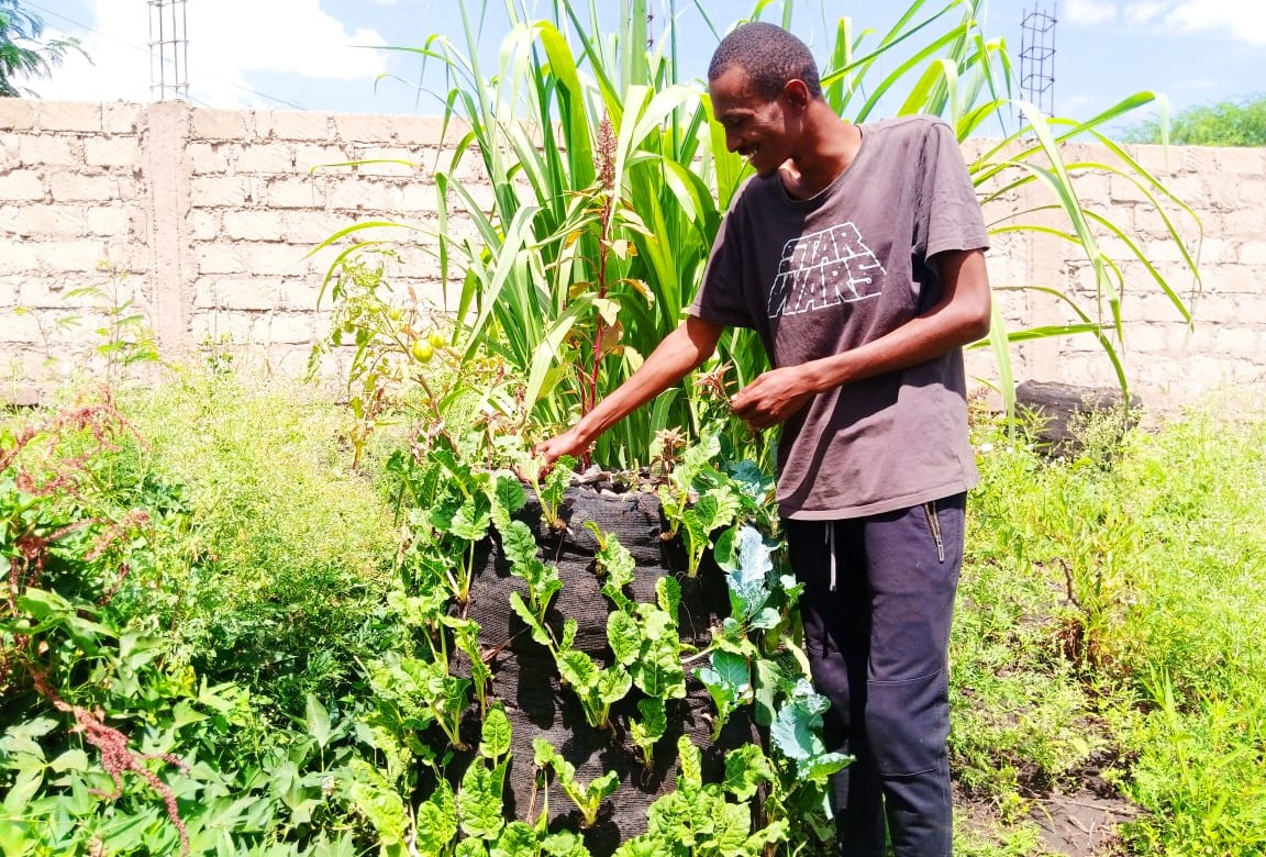 Farming keeps youth in Isiolo off drug abuse